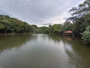 Imagem 4 - Casa Condomínio em Condomínio do Lago 1ª Etapa, Goiânia - GO
