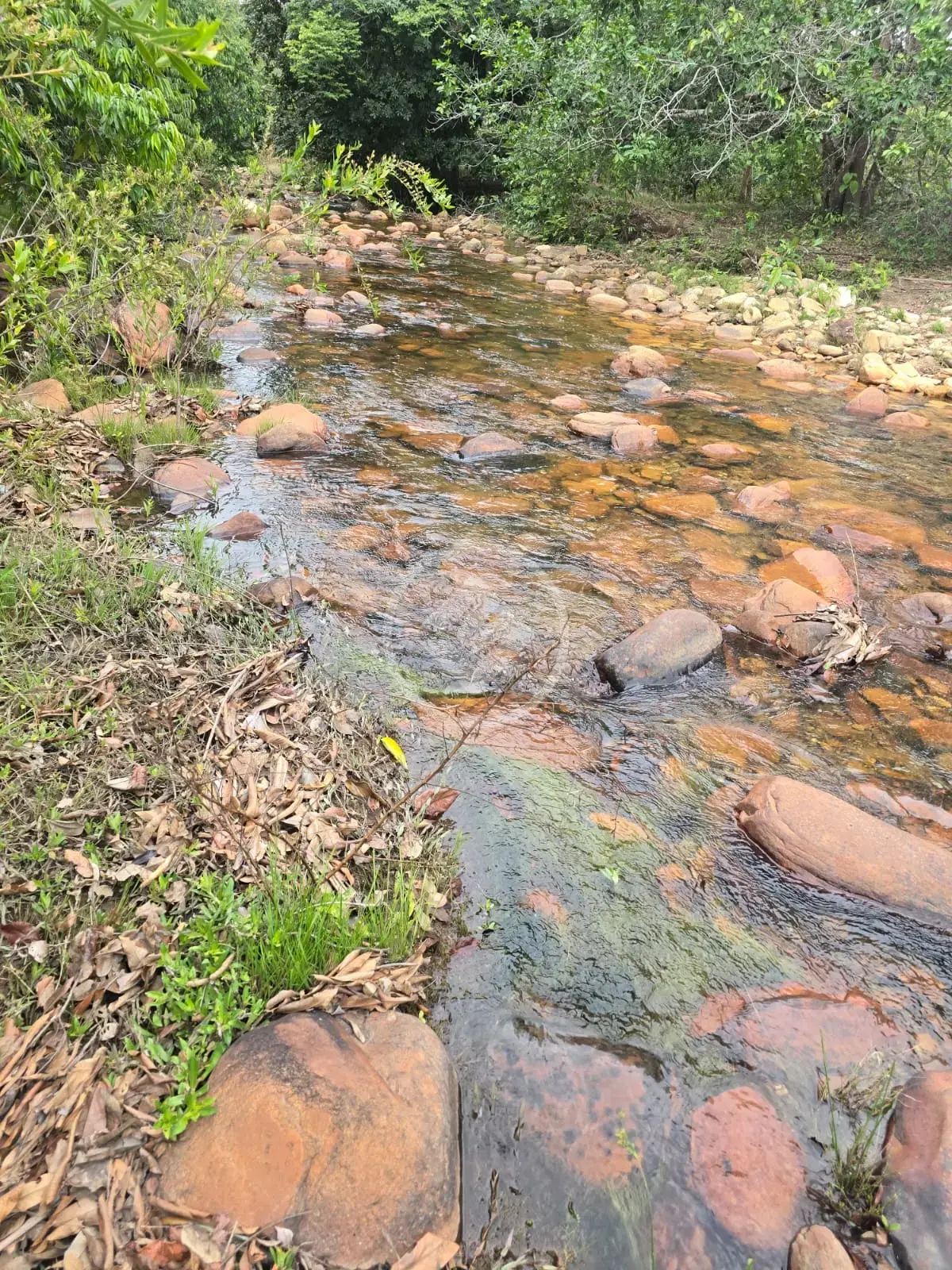 Image 11 - Sítio em Cidade Jardim, Goiânia - GO