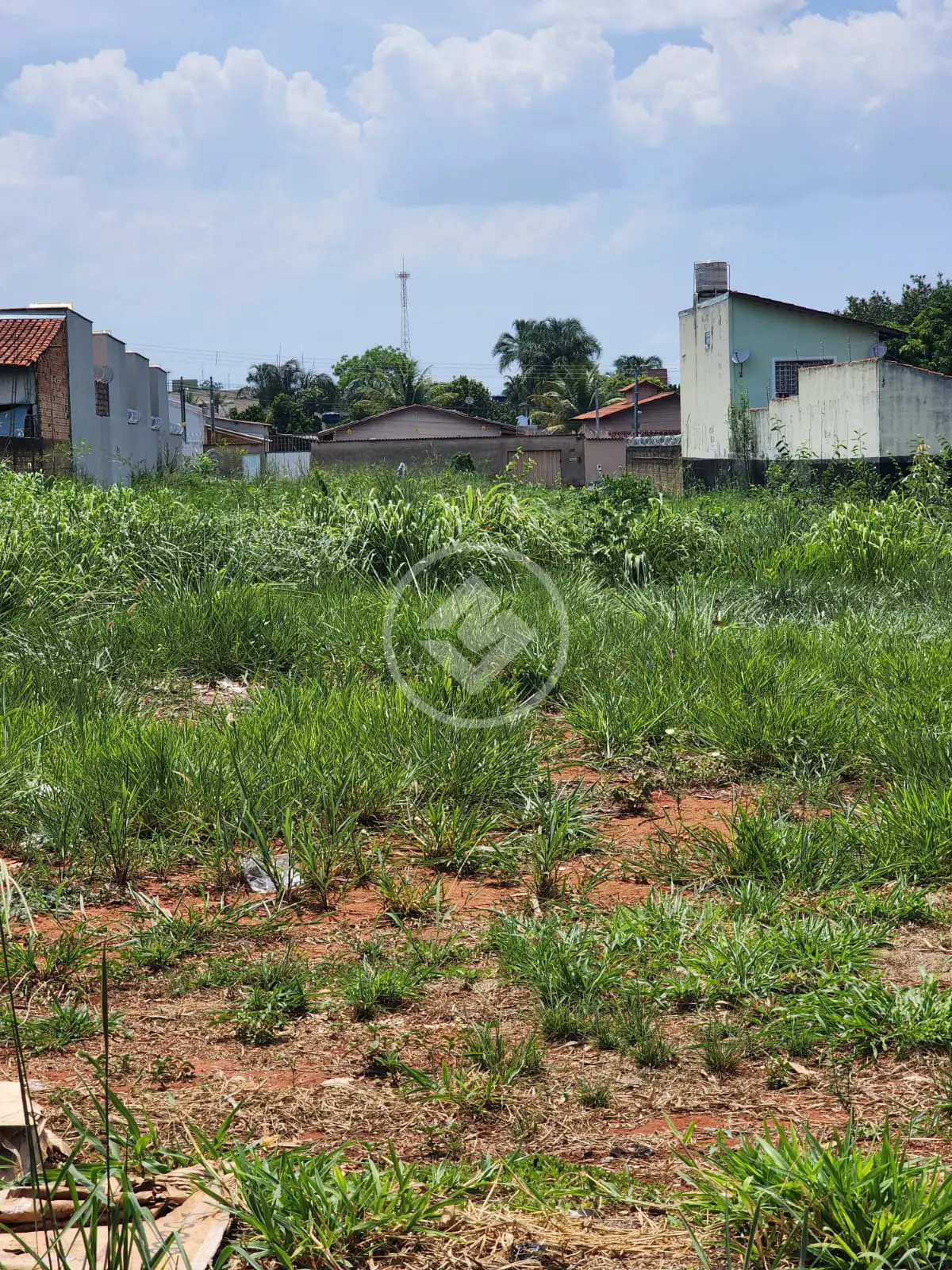 Imagem 2 - Terreno em Conjunto Vera Cruz, Goiânia - GO