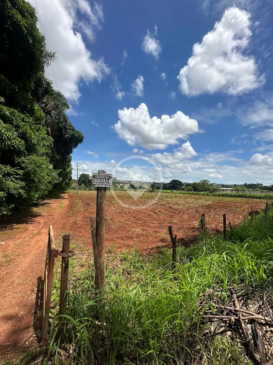 Imagem 4 - Terreno em Área Rural de Goiânia, Goiânia - GO