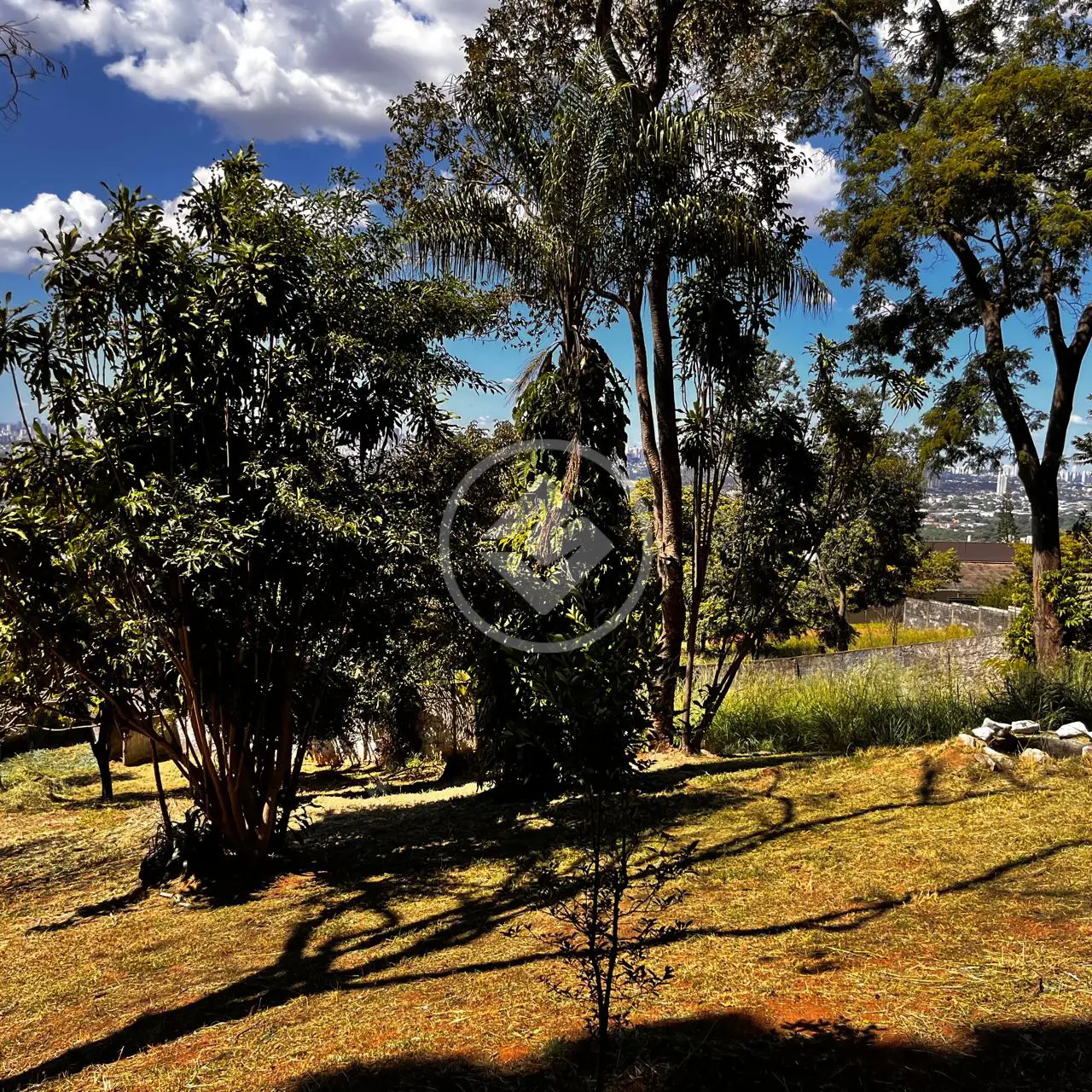 Terreno Jardim Petrópolis, Goiânia - GO — foto 2
