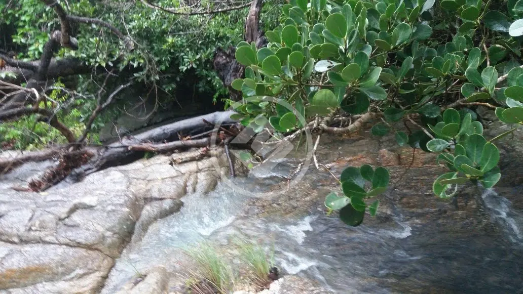 Imagem 5 - Fazenda em Centro, Morro Agudo de Goiás - GO