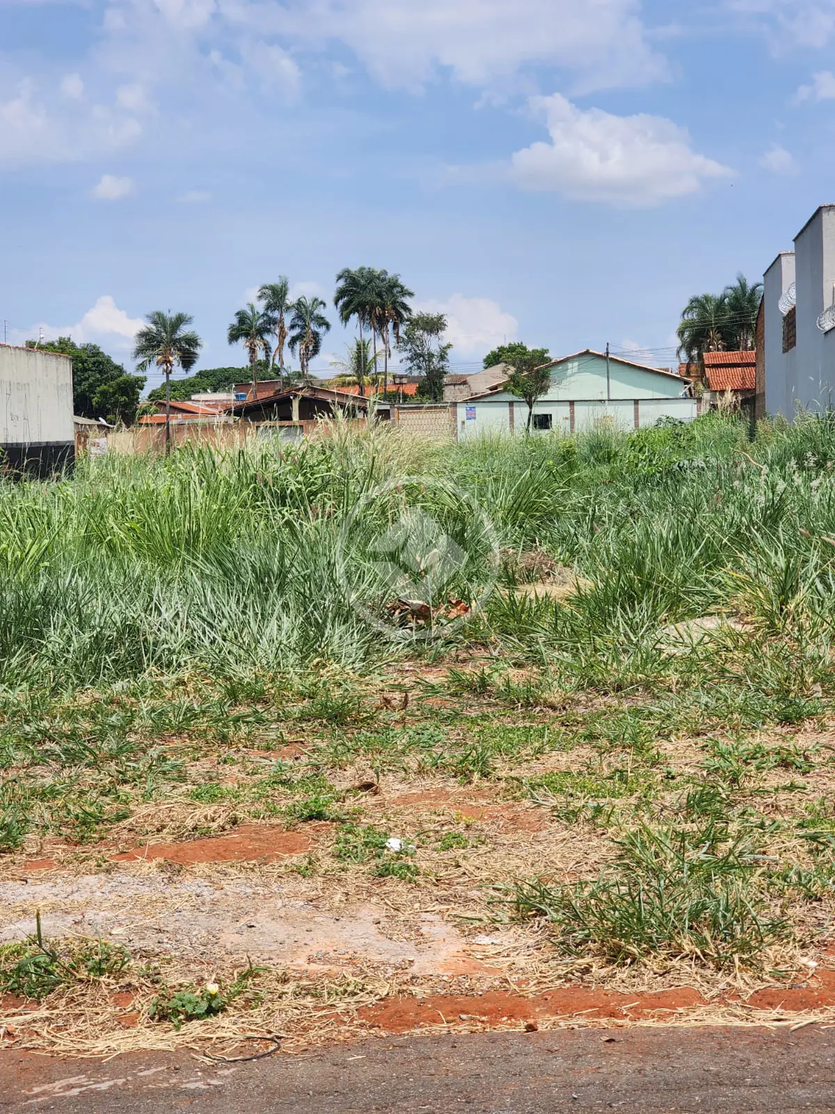 Terreno Conjunto Vera Cruz, Goiânia - GO — foto 2