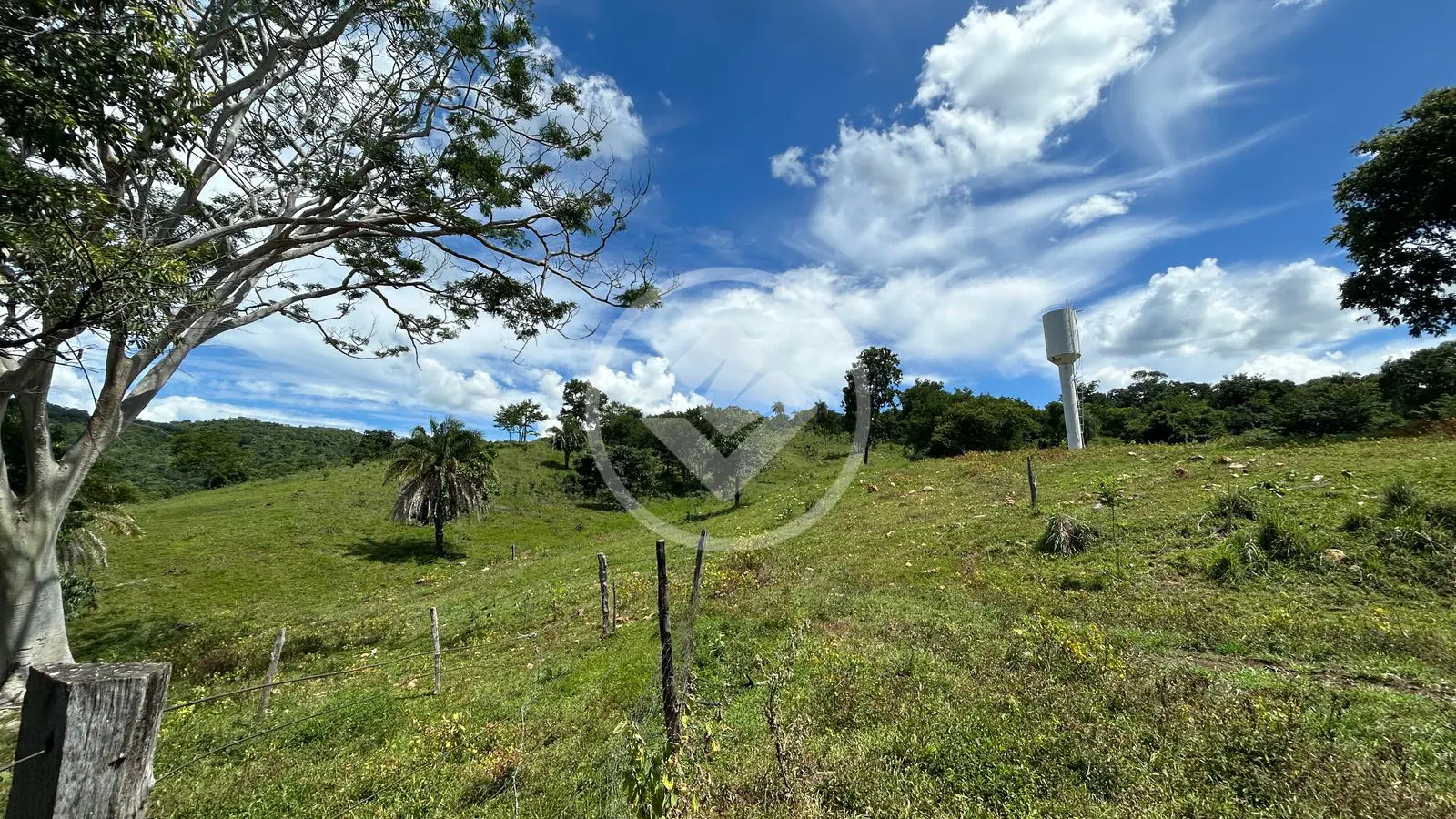 Image 10 - Fazenda em Centro, Morro Agudo de Goiás - GO