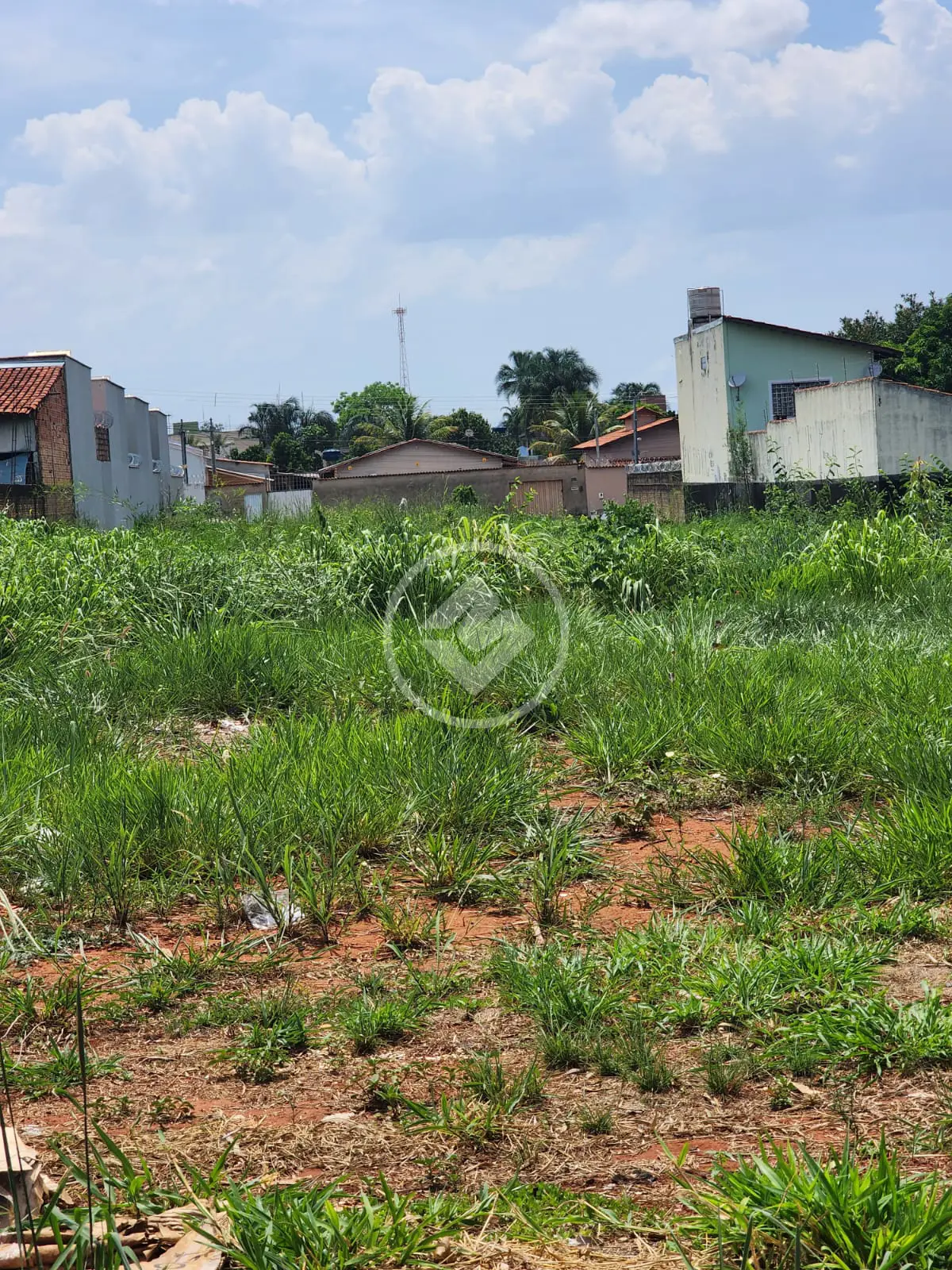 Terreno Conjunto Vera Cruz, Goiânia - GO — foto 1