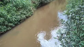 Imagem 3 - Chácara em rural zona rural, Varjão - GO