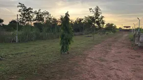 Imagem 5 - Chácara em rural zona rural, Varjão - GO