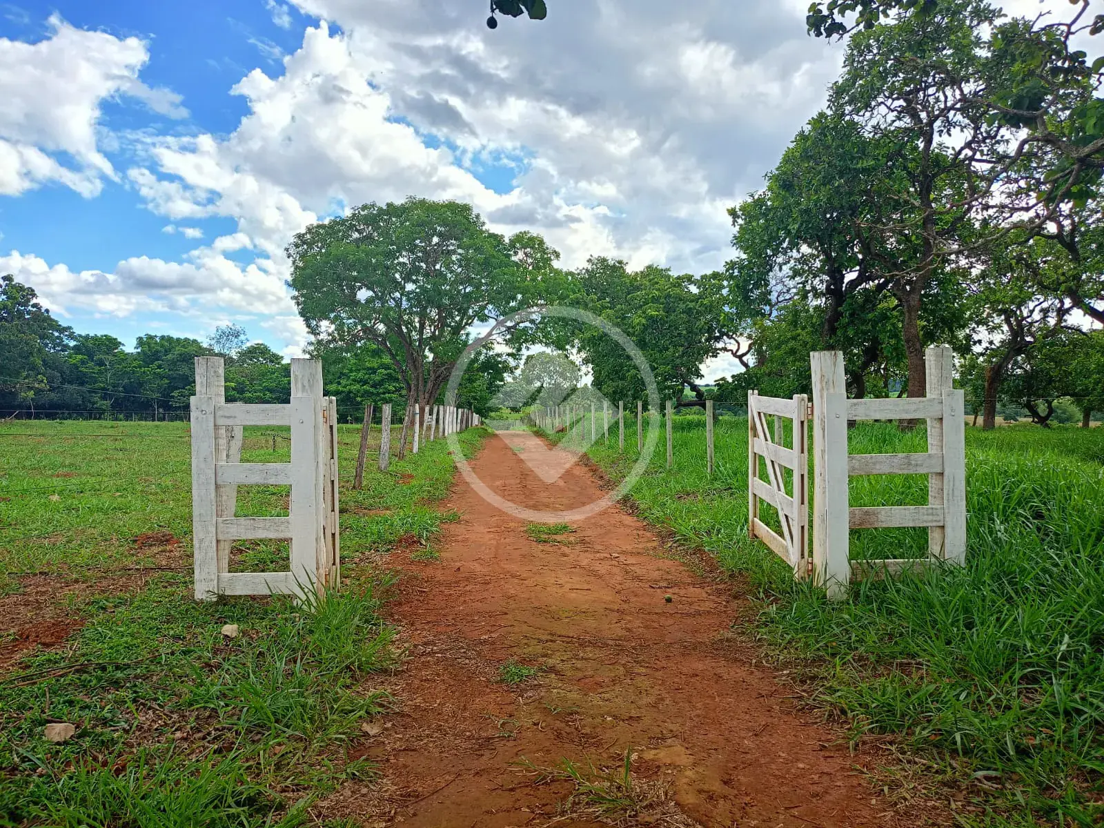 Imagem 1 - Chácara em Zona Rural, Bela Vista de Goiás - GO