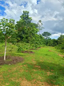 Imagem 5 - Chácara em Zona Rural, Bela Vista de Goiás - GO
