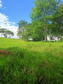 Imagem 6 - Chácara em Zona Rural, Bela Vista de Goiás - GO