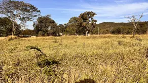 Imagem 5 - Terreno em Jardim das Cascatas, Aparecida de Goiânia - GO
