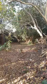Terreno Parque Real de Goiânia, Aparecida de Goiânia - GO — foto 1