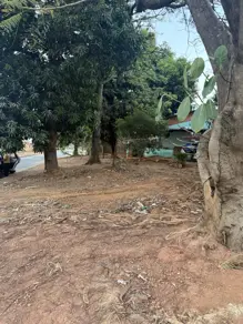 Imagem 6 - Casa em Cidade Vera Cruz, Aparecida de Goiânia - GO