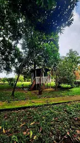 Imagem 2 - Chácara em Jardim Alphaville, Goiânia - GO