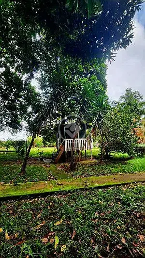 Imagem 2 - Chácara em Jardim Alphaville, Goiânia - GO