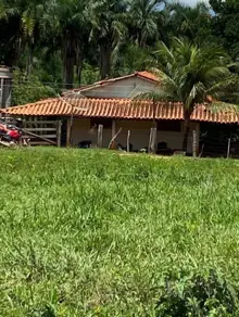 Fazenda Fazenda Nova, Fazenda Nova - GO — foto 2