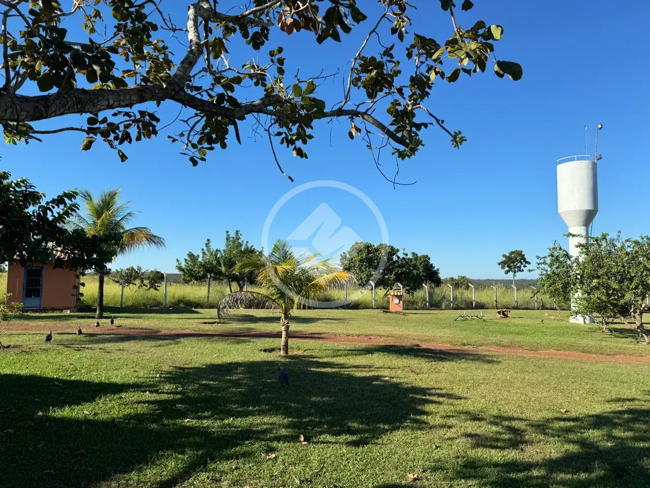 Imagem 3 - Chácara em Vila Mutirao, Niquelândia - GO