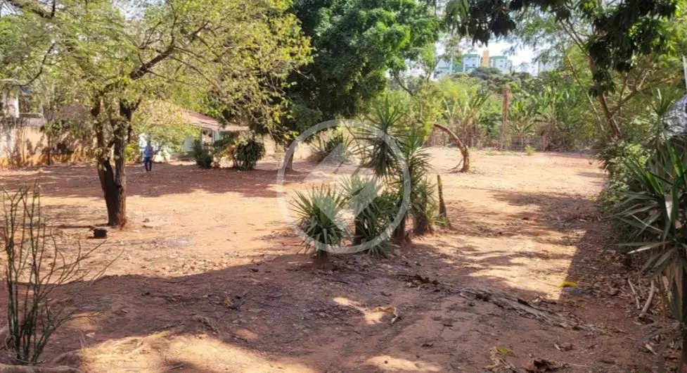 Image 2 - Terreno em Vila Mauá, Goiânia - GO
