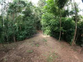 Chácara central, Bonfinópolis - GO — foto 2