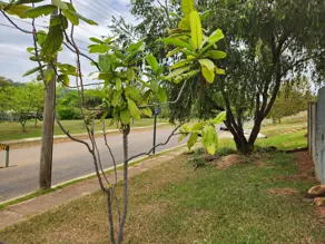 Imagem 5 - Terreno Condomínio em Residencial Aldeia do Vale, Goiânia - GO