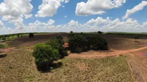 Imagem 2 - Fazenda em Rural, Indiara - GO