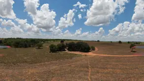 Fazenda Rural, Indiara - GO — foto 2