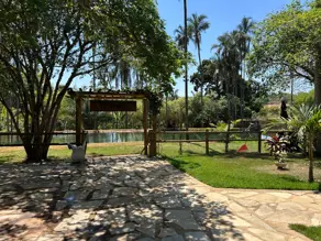 Imagem 5 - Chácara em Zona Rural, Hidrolândia - GO