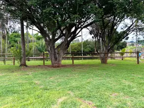Imagem 4 - Chácara em Zona Rural, Hidrolândia - GO