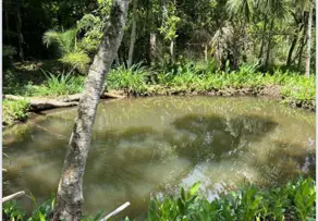 Imagem 6 - Chácara em Zona Rural, Hidrolândia - GO
