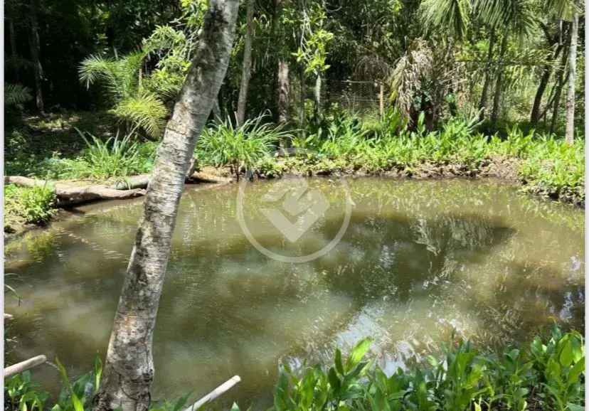 Imagem 6 - Chácara em Zona Rural, Hidrolândia - GO