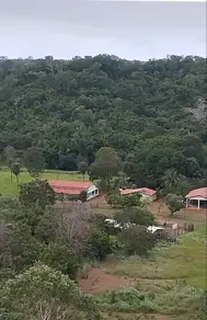 Fazenda Centro, Porto Nacional - TO — foto 1