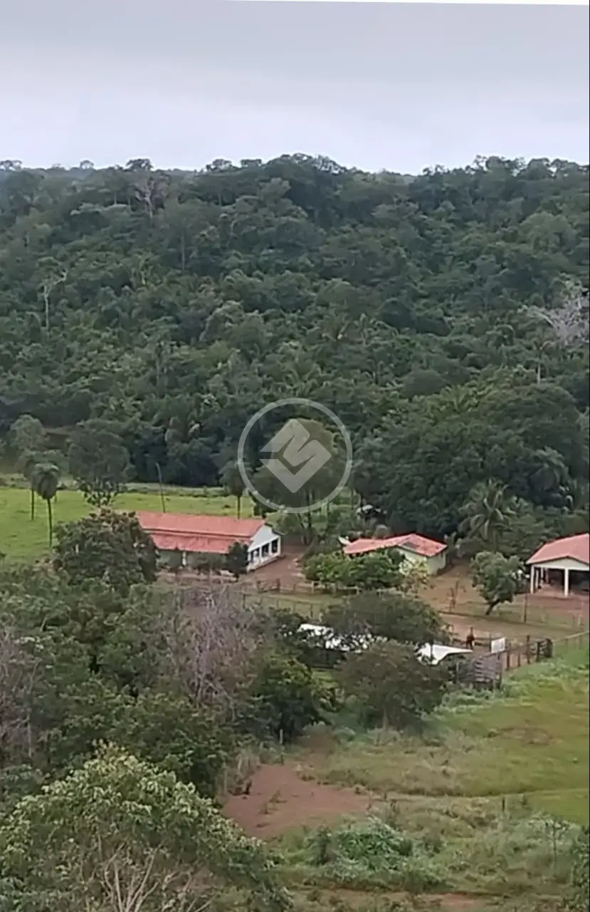 Imagem 1 - Fazenda em Centro, Porto Nacional - TO
