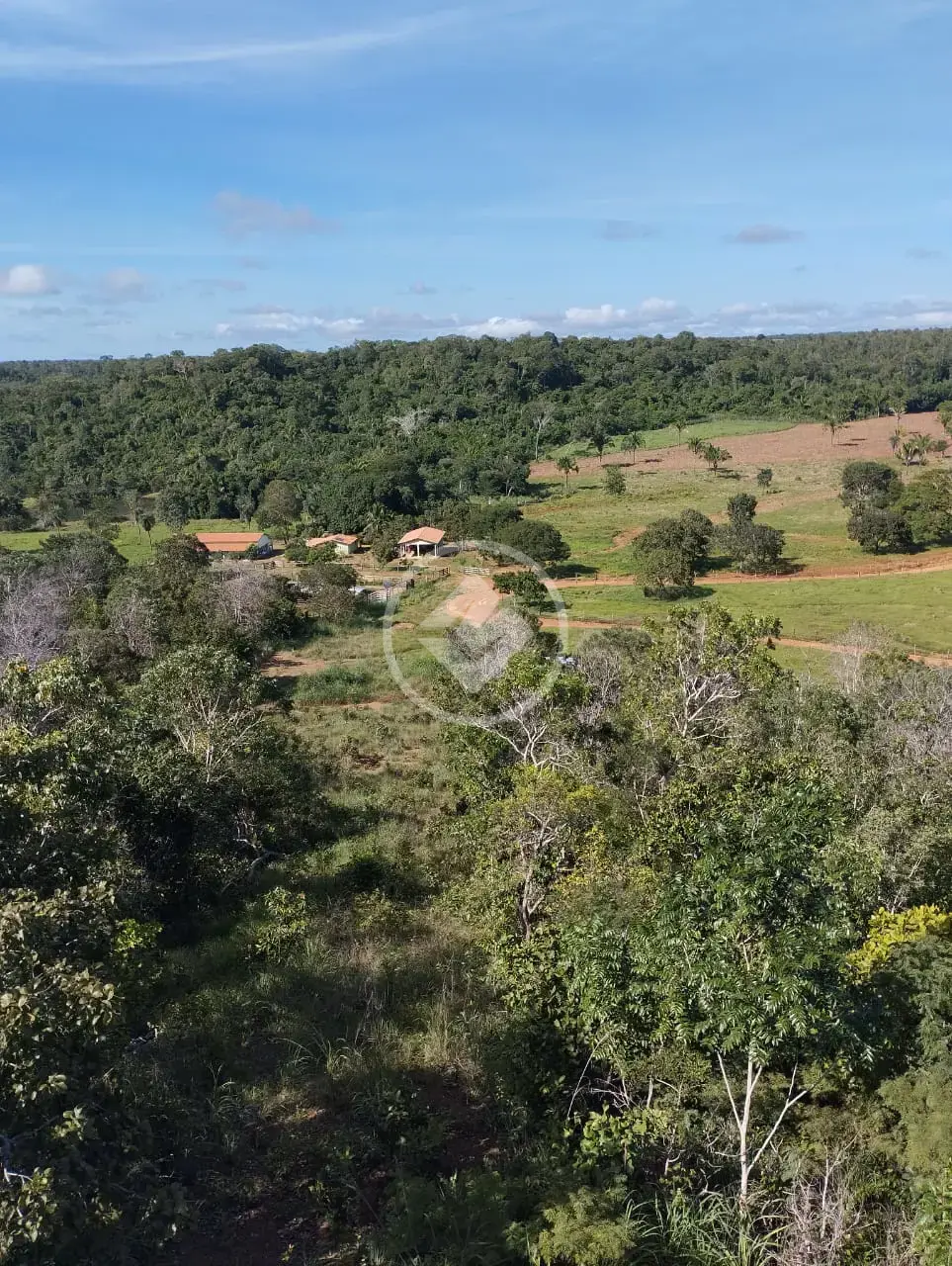 Imagem 2 - Fazenda em Centro, Porto Nacional - TO