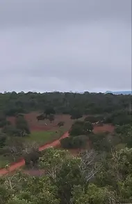 Imagem 4 - Fazenda em Centro, Porto Nacional - TO
