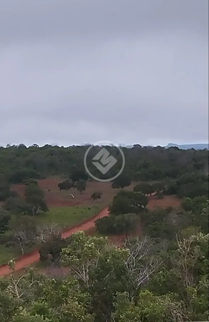 Imagem 4 - Fazenda em Centro, Porto Nacional - TO