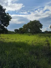 Imagem 5 - Fazenda em Centro, Porto Nacional - TO