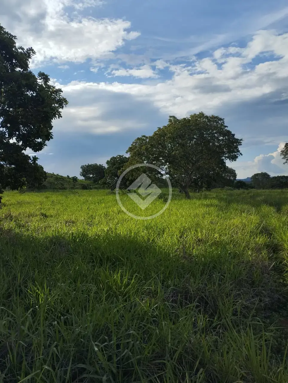 Imagem 5 - Fazenda em Centro, Porto Nacional - TO