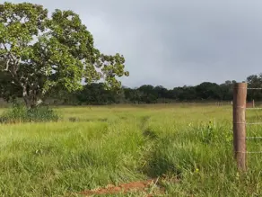 Imagem 6 - Fazenda em Centro, Porto Nacional - TO