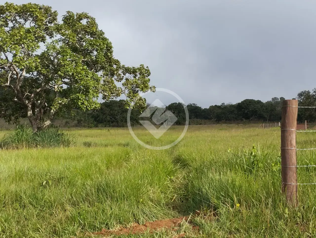 Imagem 6 - Fazenda em Centro, Porto Nacional - TO