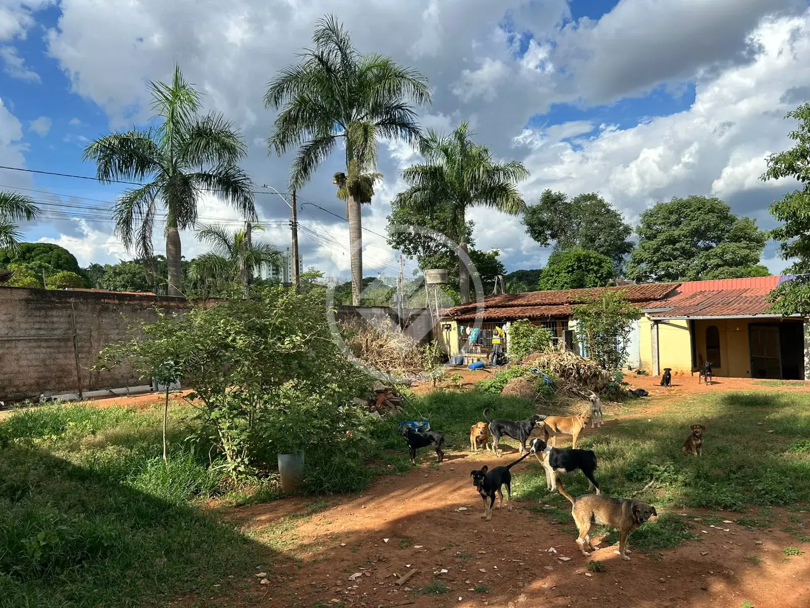 Imagem 6 - Terreno em Jardim Luz, Aparecida de Goiânia - GO