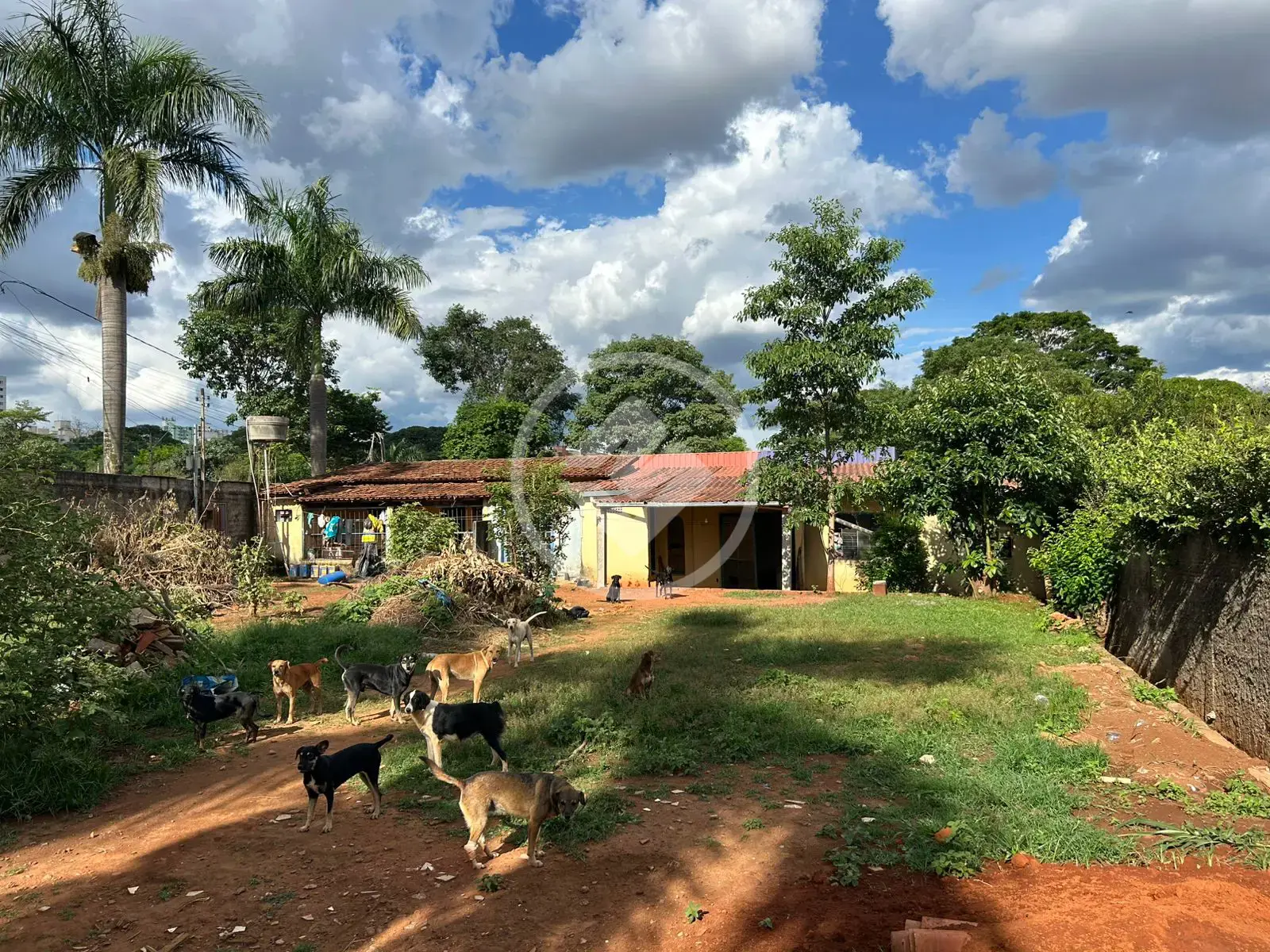 Imagem 4 - Terreno em Jardim Luz, Aparecida de Goiânia - GO