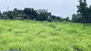 Imagem 3 - Terreno em Residencial Aurora das Mansões, Senador Canedo - GO