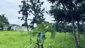 Imagem 6 - Terreno em Residencial Aurora das Mansões, Senador Canedo - GO