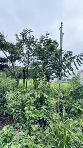 Terreno Residencial Aurora das Mansões, Senador Canedo - GO — foto 2