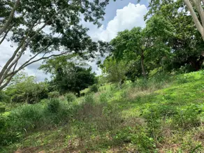 Imagem 4 - Fazenda em Serra Dourada, Fazenda Nova - GO