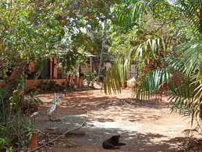 Imagem 6 - Terreno em Nova Olinda, Aparecida de Goiânia - GO