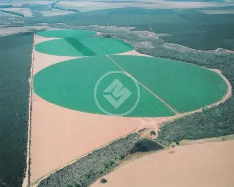 Imagem 1 - Fazenda em Área Rural de Uberlândia, Indianópolis - MG