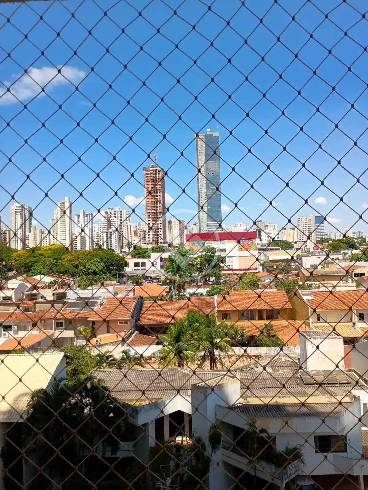 Imagem 1 - Apartamento em Jardim América, Goiânia - GO