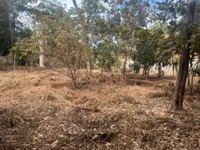 Terreno Privê Residencial Elza Fronza, Goiânia - GO — foto 1