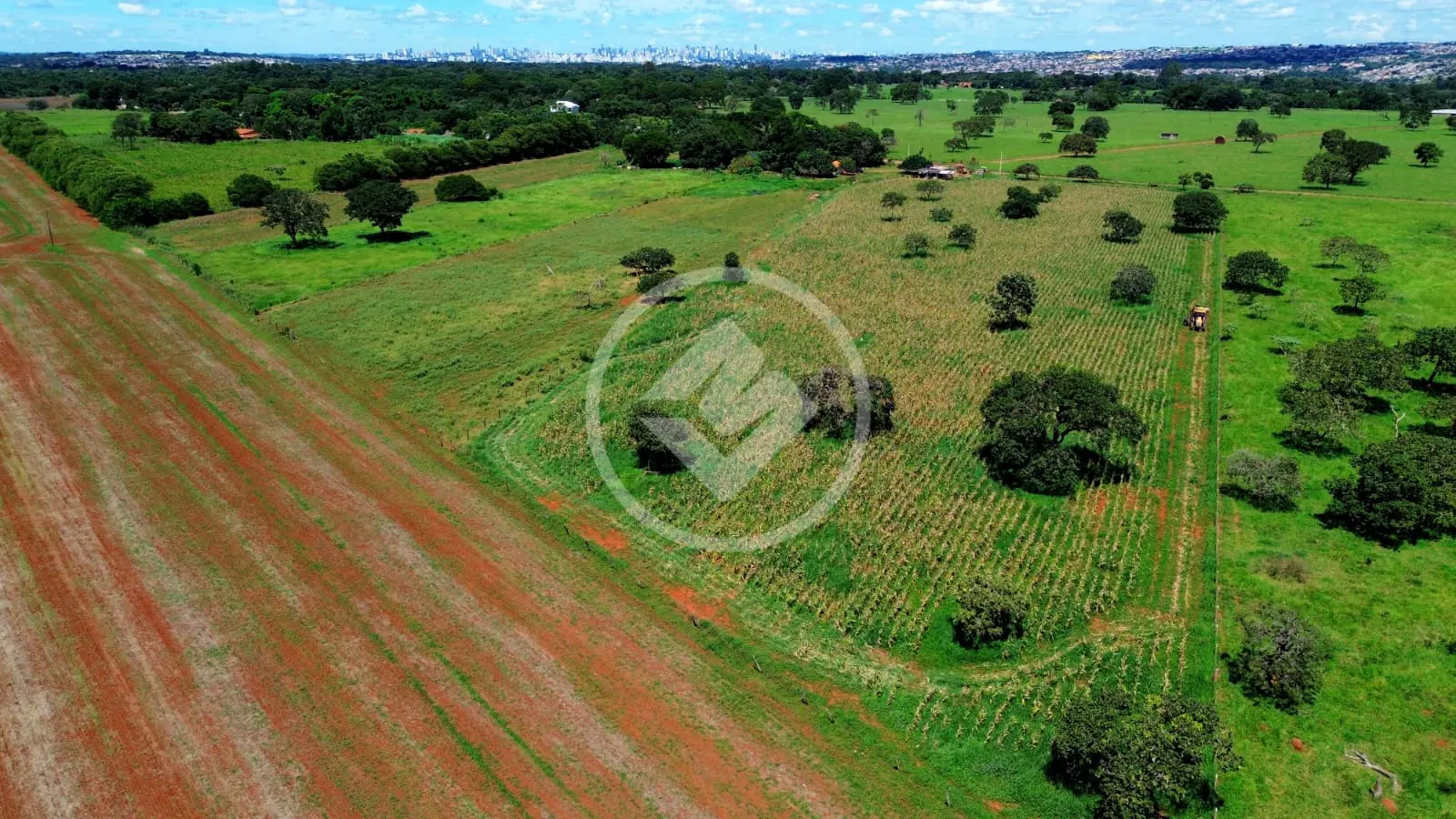Imagem 3 - Chácara em Sítios de Recreio Mansões do Campus, Goiânia - GO